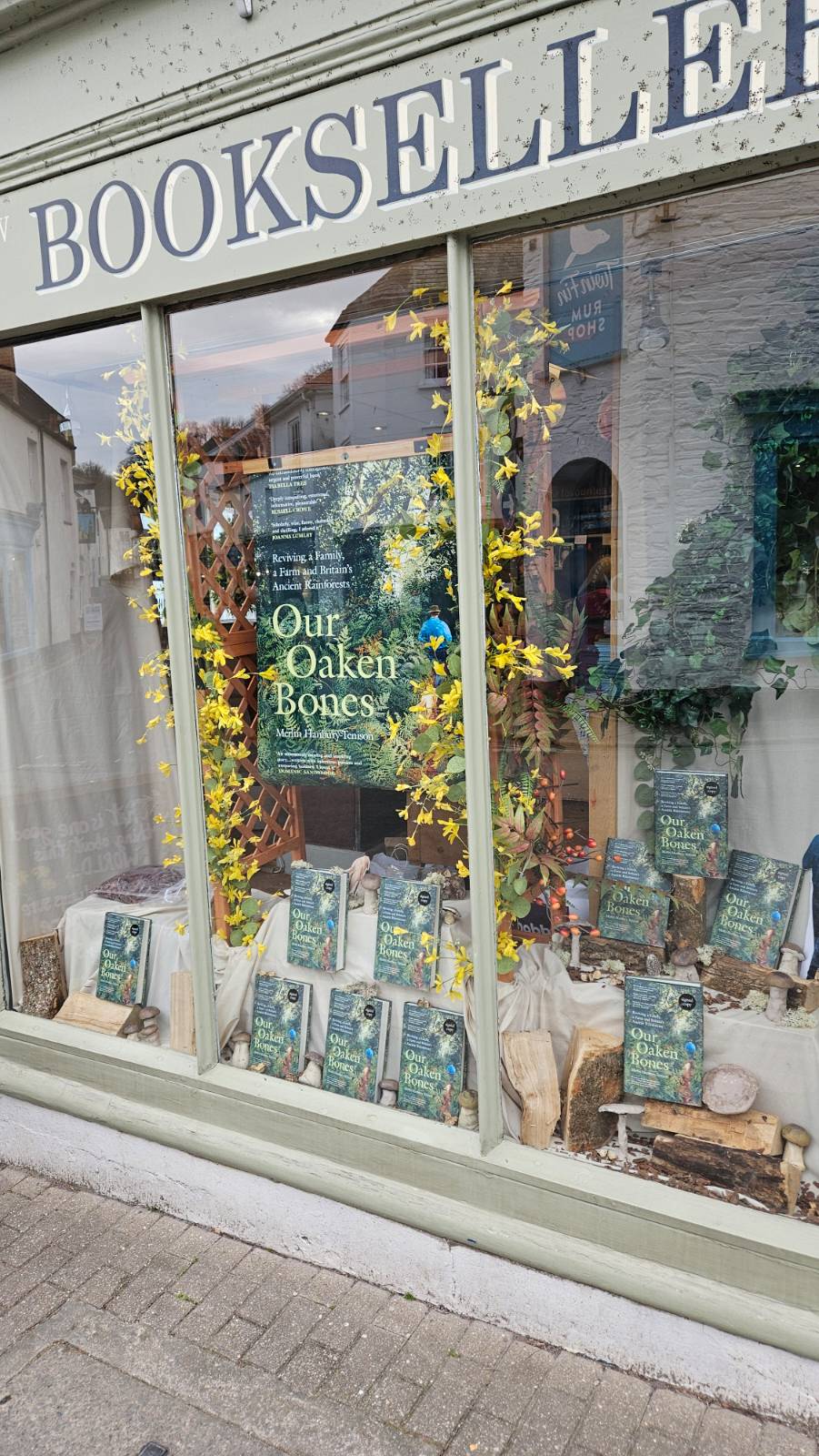 A window display of signed copies of Our Oaken Bones by Mollie Hunter-Trissler, dressed with forsythia and ceramic toadstools.